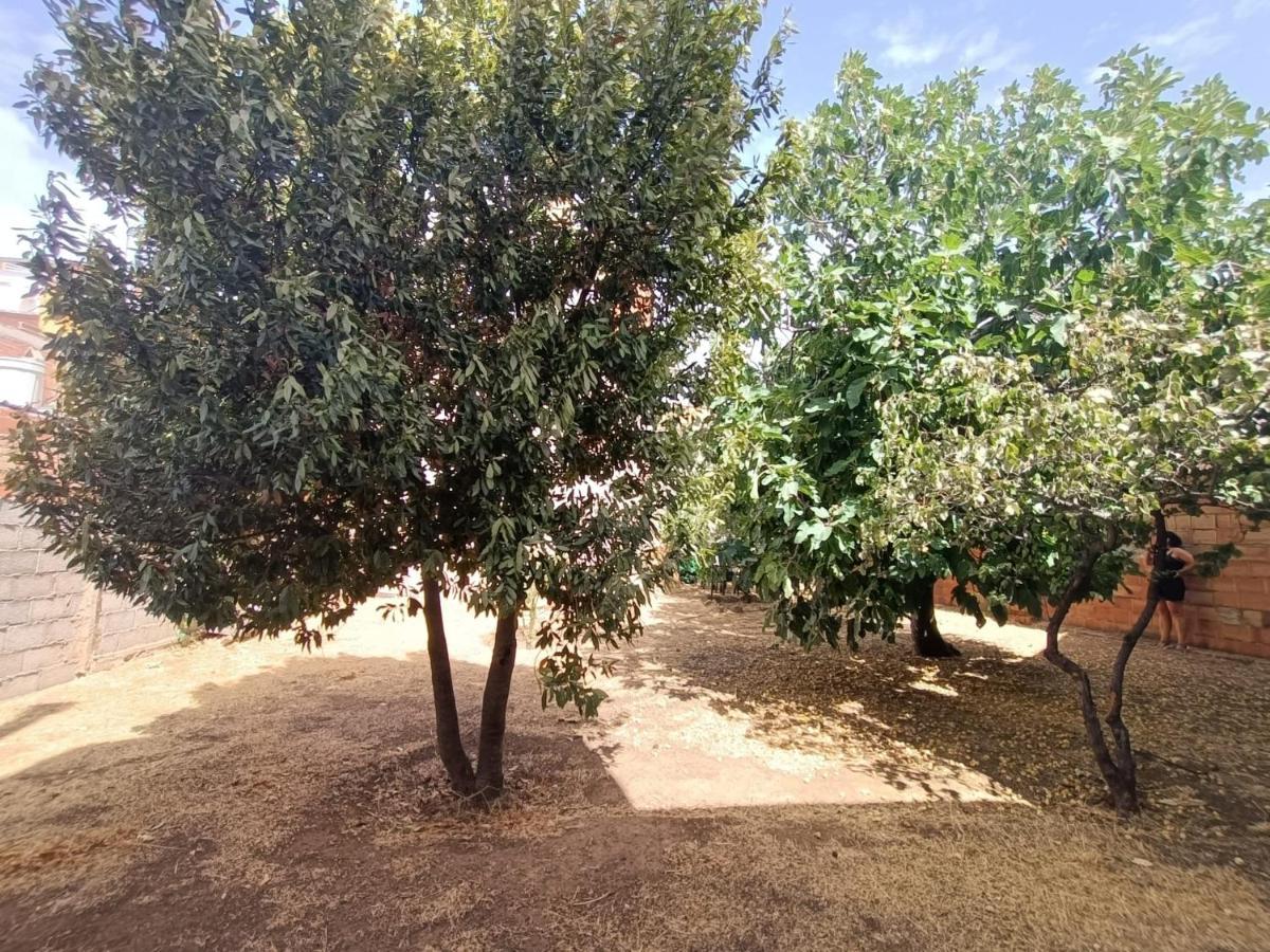 Vivienda Rural Los Iberos M&M, Castellar de Santisteban Εξωτερικό φωτογραφία